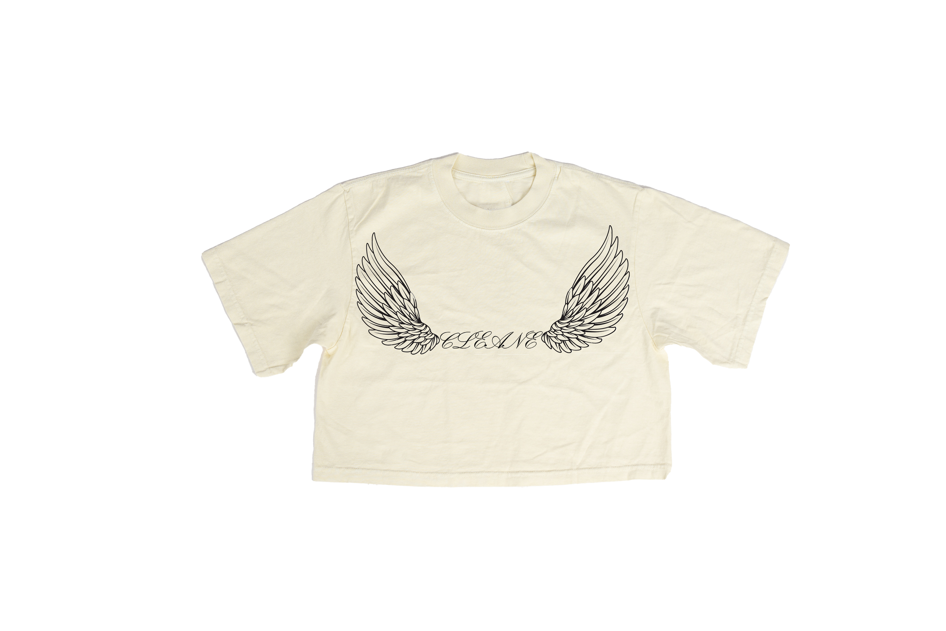 Jophiel Crop Top